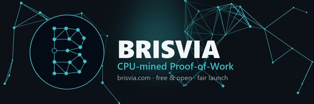 Net Banner